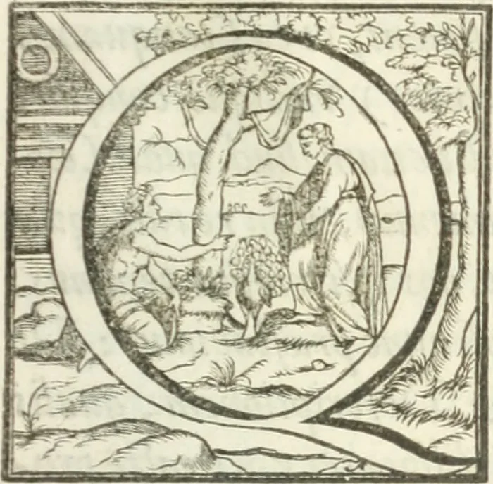 An illustration from Instauratio magna. Multi petrasibunt & augebitur scientia, 1620, leaf 370
