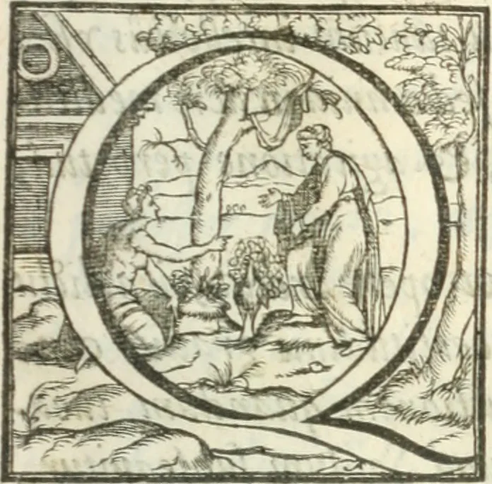 An illustration from Instauratio magna. Multi petrasibunt & augebitur scientia, 1620, leaf 52