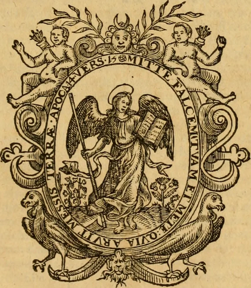 An illustration from Institutie ofte onderwiisinghe in de Christelicke religie .., 1602, leaf 680