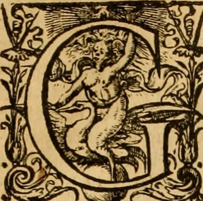 An illustration from Institutie ofte onderwiisinghe in de Christelicke religie .., 1602, leaf 682