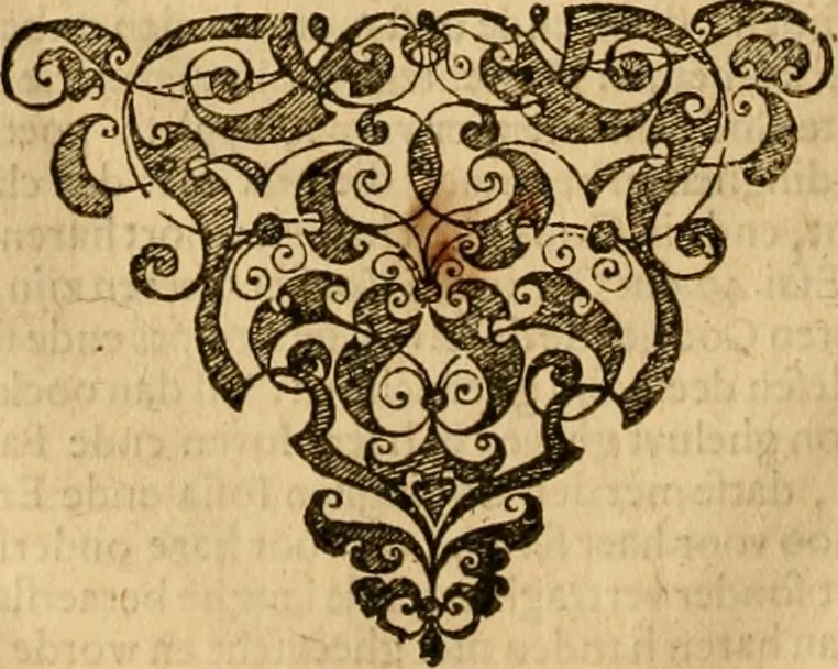 An illustration from Institutie ofte onderwiisinghe in de Christelicke religie .., 1602, leaf 683