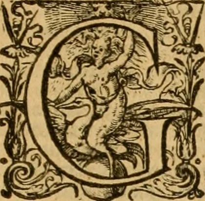 An illustration from Institutie ofte onderwiisinghe in de Christelicke religie .., 1602, leaf 684