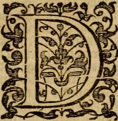 An illustration from Institutie ofte onderwiisinghe in de Christelicke religie .., 1645, leaf 18