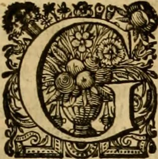 An illustration from Institutie ofte onderwiisinghe in de Christelicke religie .., 1645, leaf 656