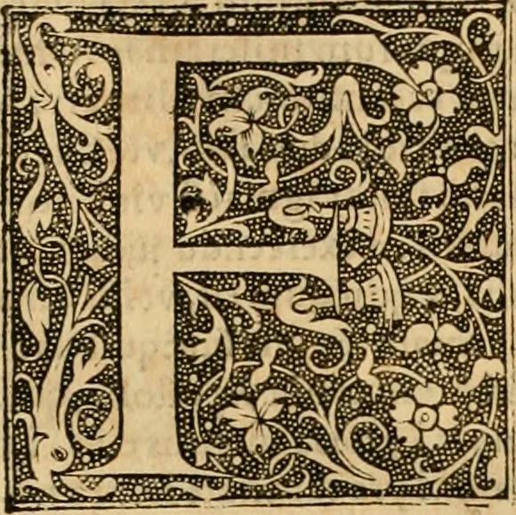 An illustration from Institutio christianae religionis .., 1559, leaf 377