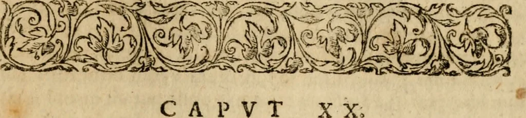 An illustration from Institutio Christianae religionis, 1612, leaf 1090