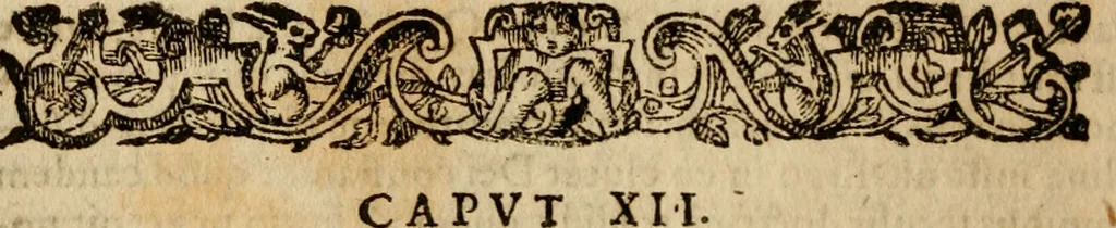 An illustration from Institutio Christianae religionis, 1612, leaf 343