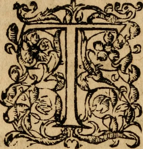 An illustration from Institutio Christianae religionis, 1612, leaf 35