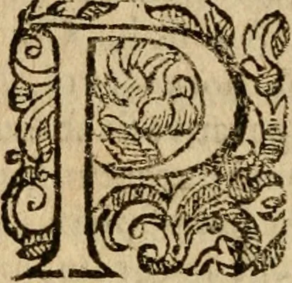 An illustration from Institutio Christianae religionis, 1612, leaf 357