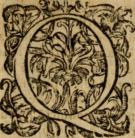 An illustration from Institutio Christianae religionis, 1612, leaf 6
