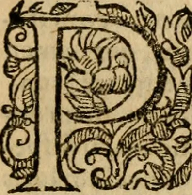 An illustration from Institutio Christianae religionis, 1612, leaf 74