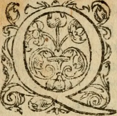 An illustration from Institutio Christianae religionis, 1612, leaf 771