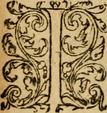 An illustration from Institutio Christianae religionis, 1612, leaf 780