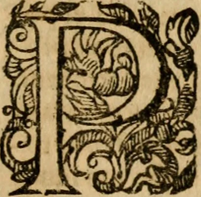 An illustration from Institutio Christianae religionis, 1612, leaf 942