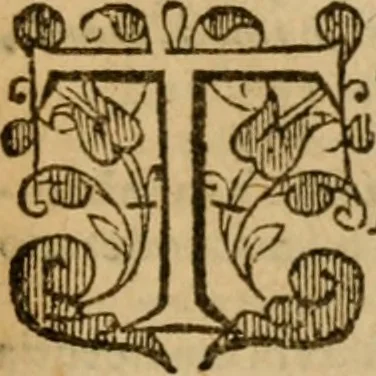 An illustration from Institutio Christianae religionis, 1576, leaf 780