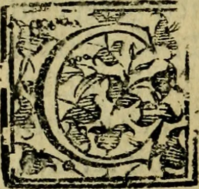 An illustration from Institutiones iuris canonici quibus ius pontificium singulari methodo libris quatuor comprehenditur, 1606, leaf 11