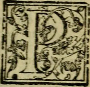 An illustration from Institutiones iuris canonici quibus ius pontificium singulari methodo libris quatuor comprehenditur, 1606, leaf 17