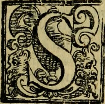 An illustration from Institutiones iuris canonici quibus ius pontificium singulari methodo libris quatuor comprehenditur, 1606, leaf 537