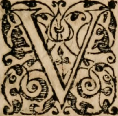 An illustration from Institutiones linguae Hebraicae : postremo recognitae, ac locupletatae, 1618, leaf 260
