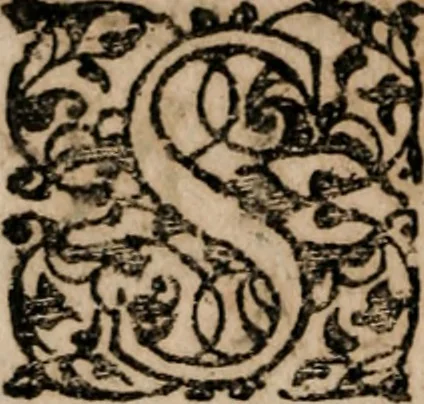 An illustration from Institutiones linguae Hebraicae : postremo recognitae, ac locupletatae, 1618, leaf 261