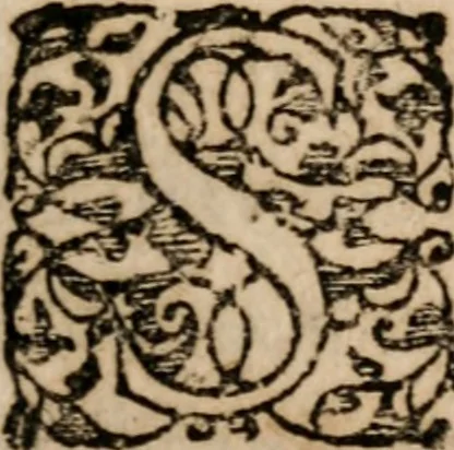 An illustration from Institutiones linguae Hebraicae : postremo recognitae, ac locupletatae, 1618, leaf 266