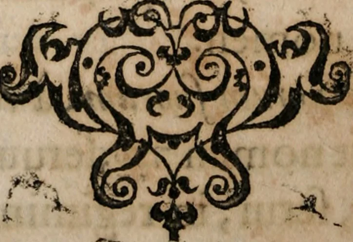 An illustration from Institutiones linguae Hebraicae : postremo recognitae, ac locupletatae, 1618, leaf 349