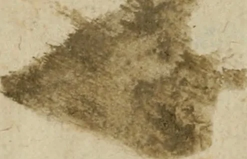 An illustration from Institutiones linguae Syriacae, Assyriacae atque Thalmudicae, vnà cum AEthiopicae atque Arabicae collatione. Addita est ad calcem, Noui Testamenti multorum locorum historica enarratio, 1554, leaf 154