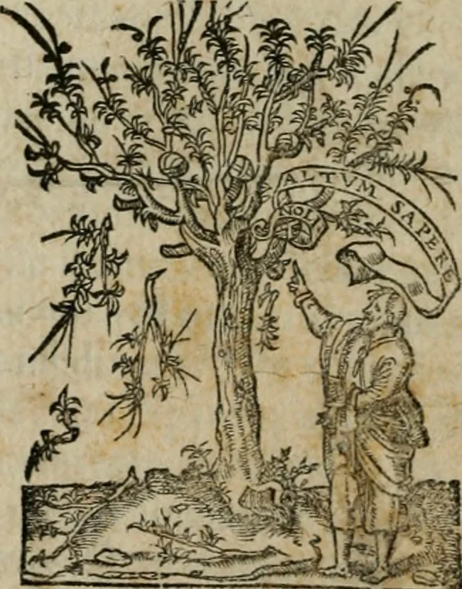 An illustration from Institutiones linguae Syriacae, Assyriacae atque Thalmudicae, vnà cum AEthiopicae atque Arabicae collatione. Addita est ad calcem, Noui Testamenti multorum locorum historica enarratio, 1554, leaf 4