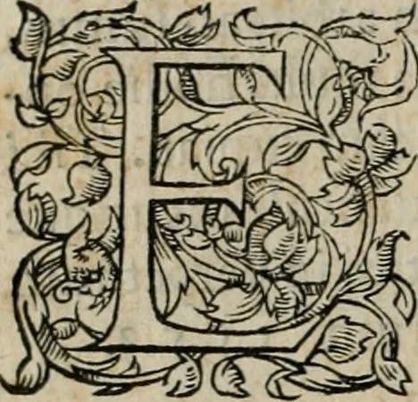 An illustration from Institutiones linguae Syriacae, Assyriacae atque Thalmudicae, vnà cum AEthiopicae atque Arabicae collatione. Addita est ad calcem, Noui Testamenti multorum locorum historica enarratio, 1554, leaf 6