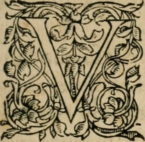 An illustration from Institutiones linguae Syriacae, Assyriacae atque Thalmudicae, vnà cum AEthiopicae atque Arabicae collatione. Addita est ad calcem, Noui Testamenti multorum locorum historica enarratio, 1554, leaf 97