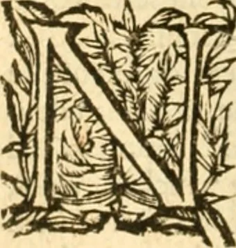 An illustration from The institution of Christian religion, 1582, leaf 165
