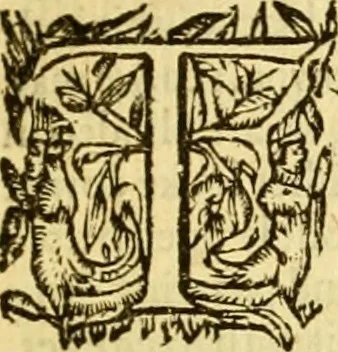 An illustration from The institution of Christian religion, 1582, leaf 28