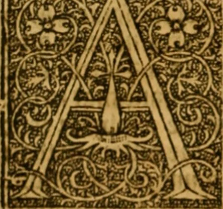 An illustration from The institution of christian religion, 1561, leaf 107