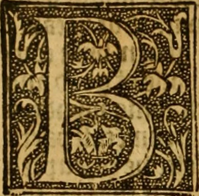 An illustration from The institution of christian religion, 1561, leaf 133