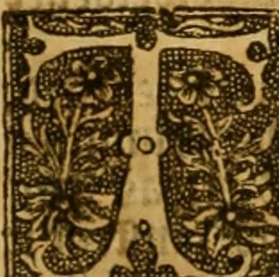 An illustration from The institution of christian religion, 1561, leaf 155