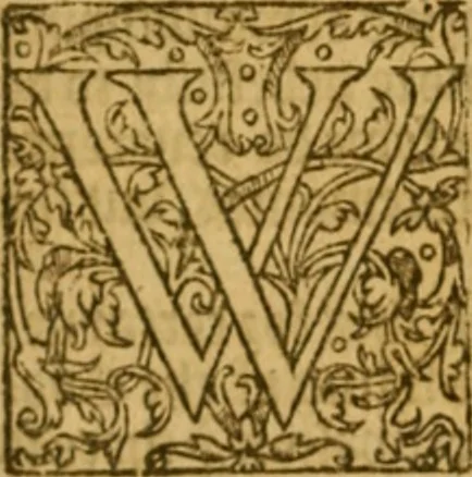An illustration from The institution of christian religion, 1561, leaf 29