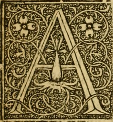 An illustration from The institution of christian religion, 1561, leaf 639
