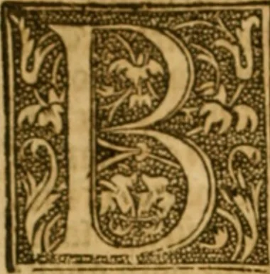 An illustration from The institution of christian religion, 1561, leaf 65