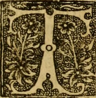 An illustration from The institution of christian religion, 1561, leaf 834