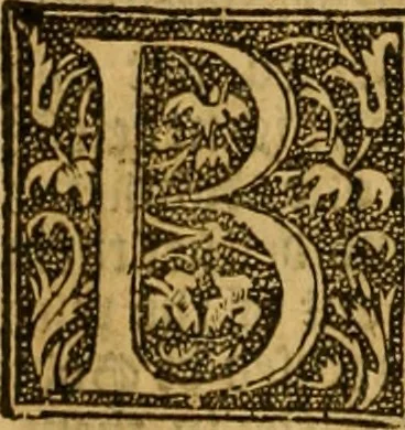 An illustration from The institution of christian religion, 1561, leaf 867