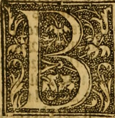 An illustration from The institution of christian religion, 1561, leaf 899