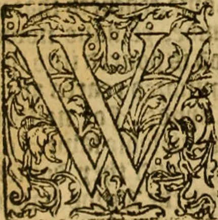 An illustration from The institution of christian religion, 1561, leaf 969