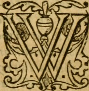 An illustration from The institution of christian religion, 1578, leaf 1354