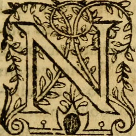 An illustration from The institution of christian religion, 1578, leaf 206