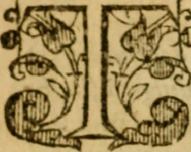 An illustration from The institution of christian religion, 1578, leaf 29
