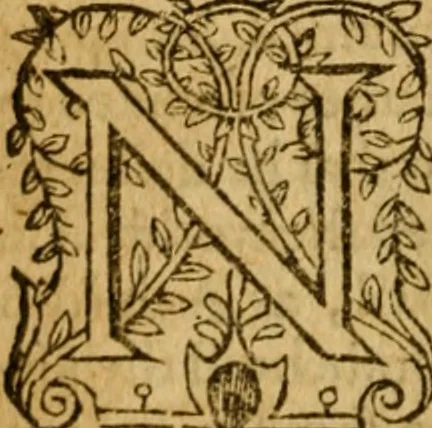 An illustration from The institution of christian religion, 1578, leaf 459