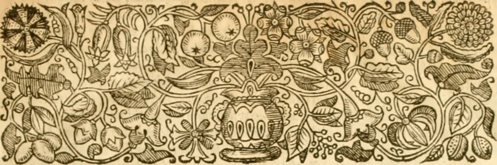 An illustration from The institution of christian religion, 1634, leaf 10
