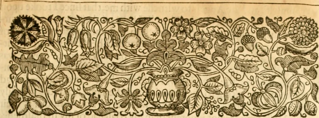 An illustration from The institution of christian religion, 1634, leaf 20