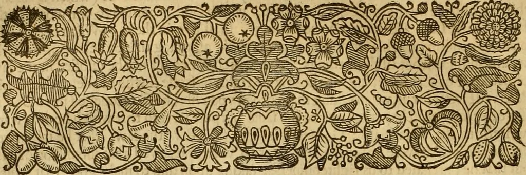 An illustration from The institution of christian religion, 1634, leaf 275