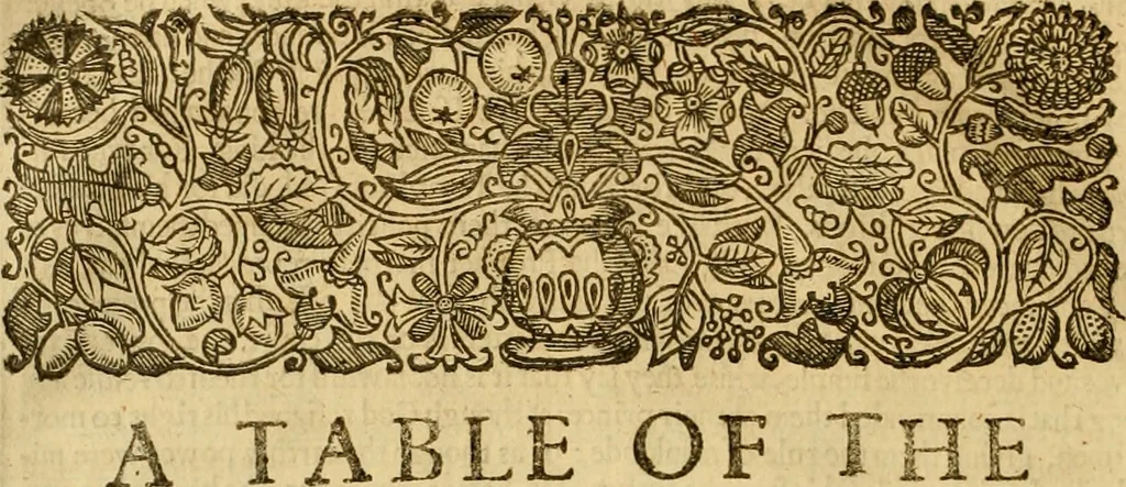 An illustration from The institution of christian religion, 1634, leaf 773